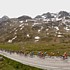 Das Feld w�hrend der 7. Etappe der Tour de Suisse 2006